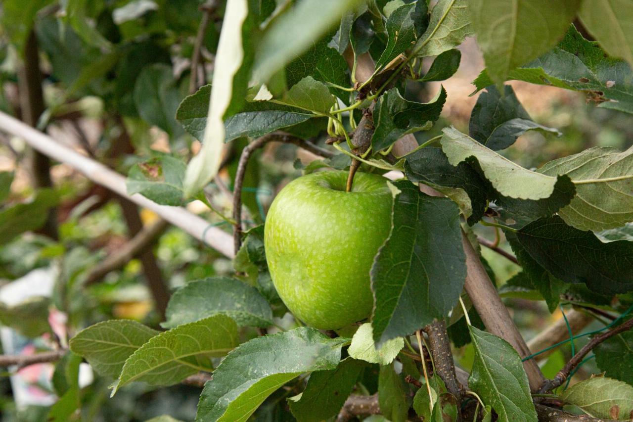 Herberg De Appelgaard Barneveld Exterior foto